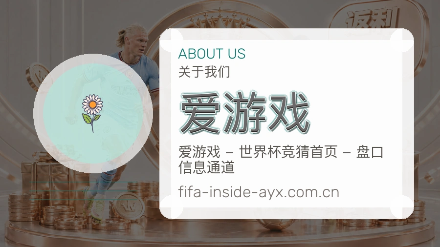 爱游戏关于我们